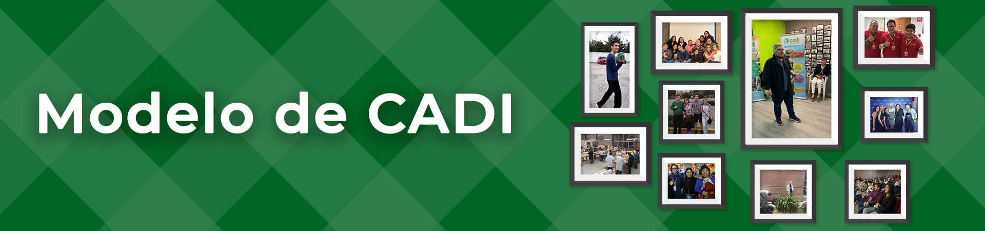 CADI - Capacitación y Desarrollo Integral